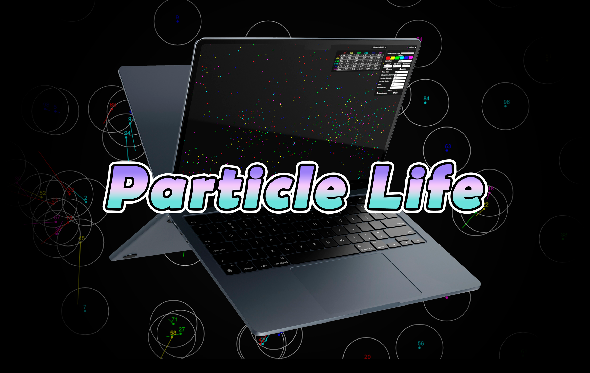 Particle Life Simulation
